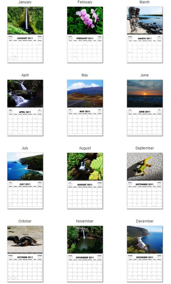 january 2011 calendar with holidays. January 2011 - December 2011,