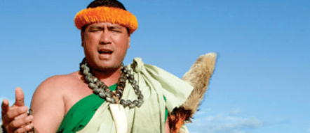 Hawaiian Wedding Traditions Image