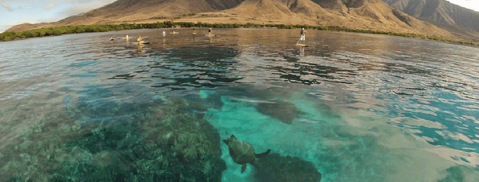 Top Places to Paddle in Hawaii Image