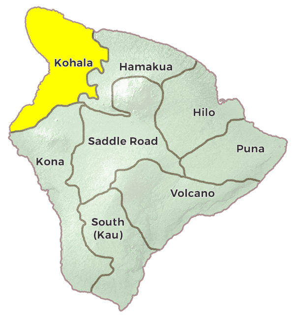 Kohala Region Image