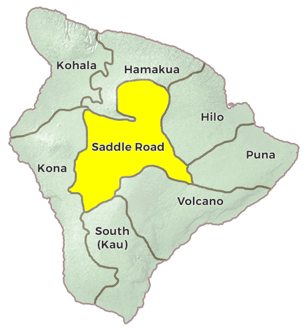 Saddle Road Region Image