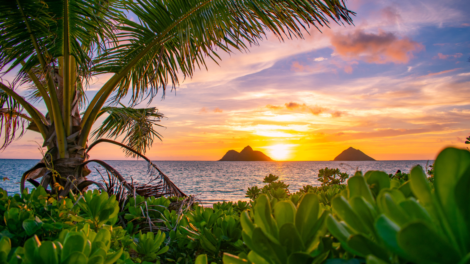 Hawaii Vacation Costs :: 2025 Trip Cost Calculator