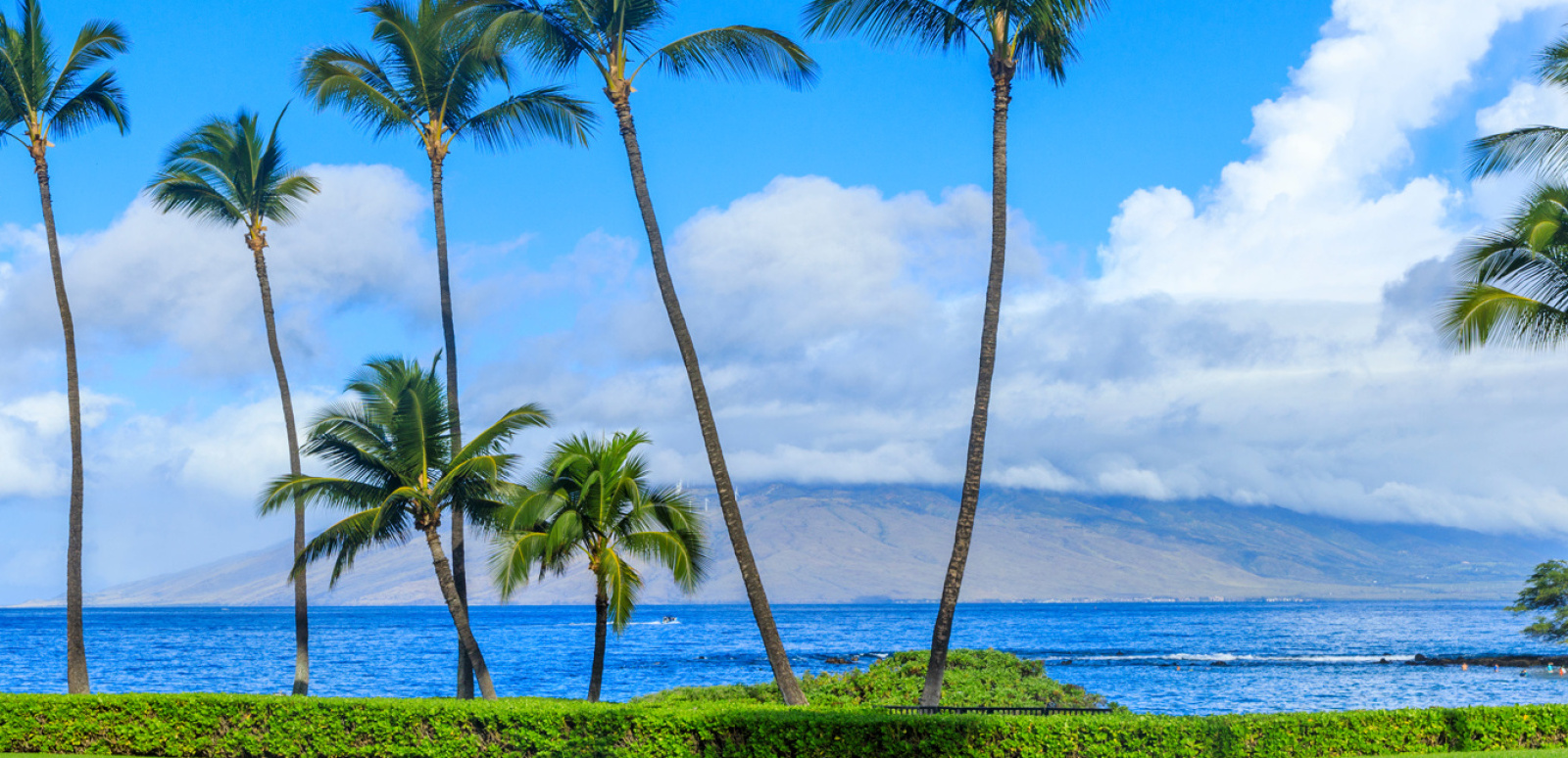 Best Time To Visit Maui - Which Months &amp; Why - Updated for 2025