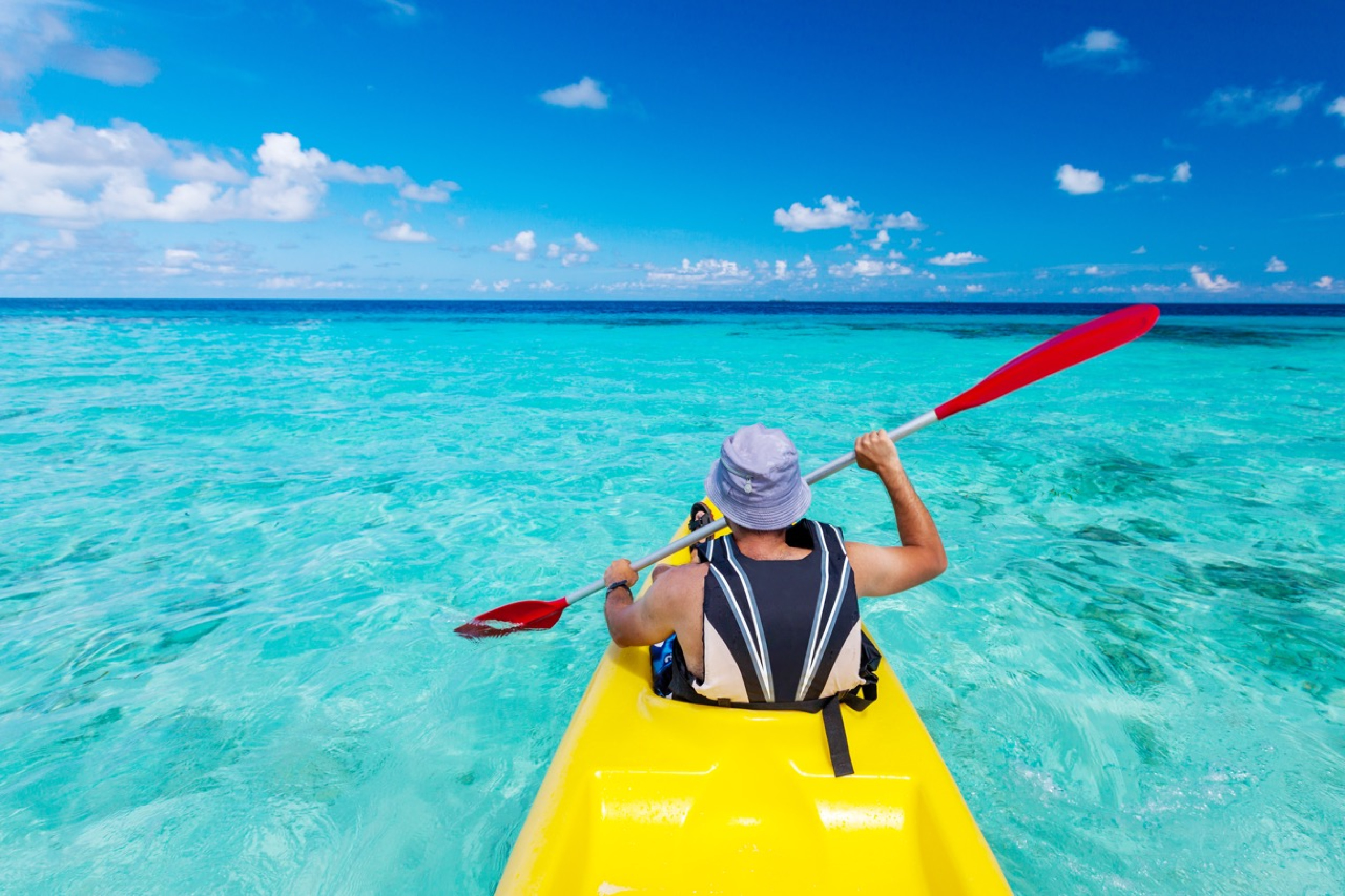 Kayak Tours To Do Activities on Big Island Hawaii