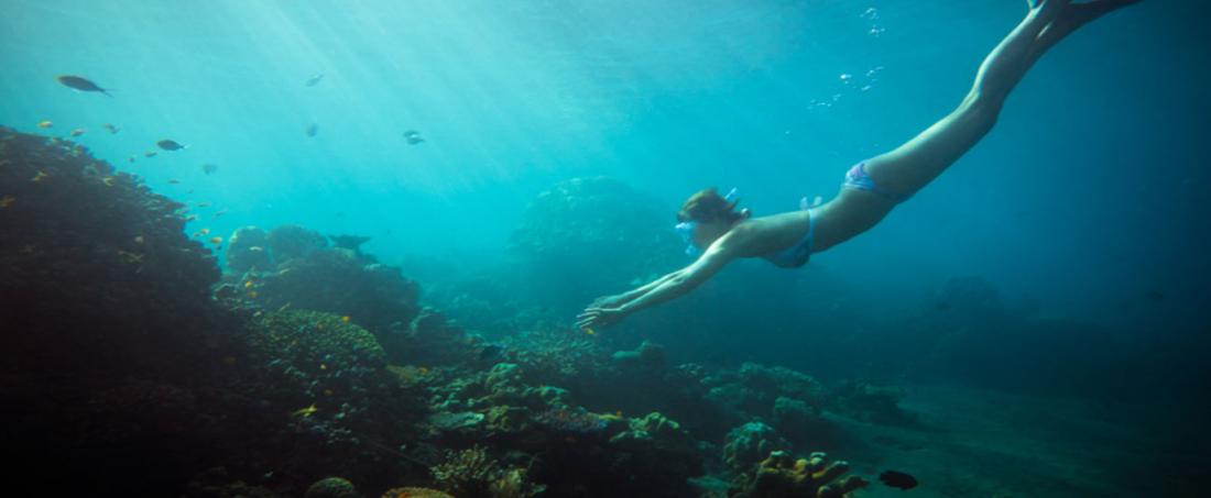 Snorkeling Molokini Crater with Pride of Maui is one of Maui