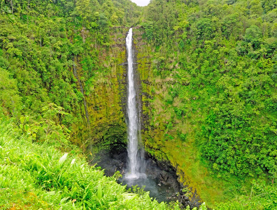 Akaka Falls on the Big Island