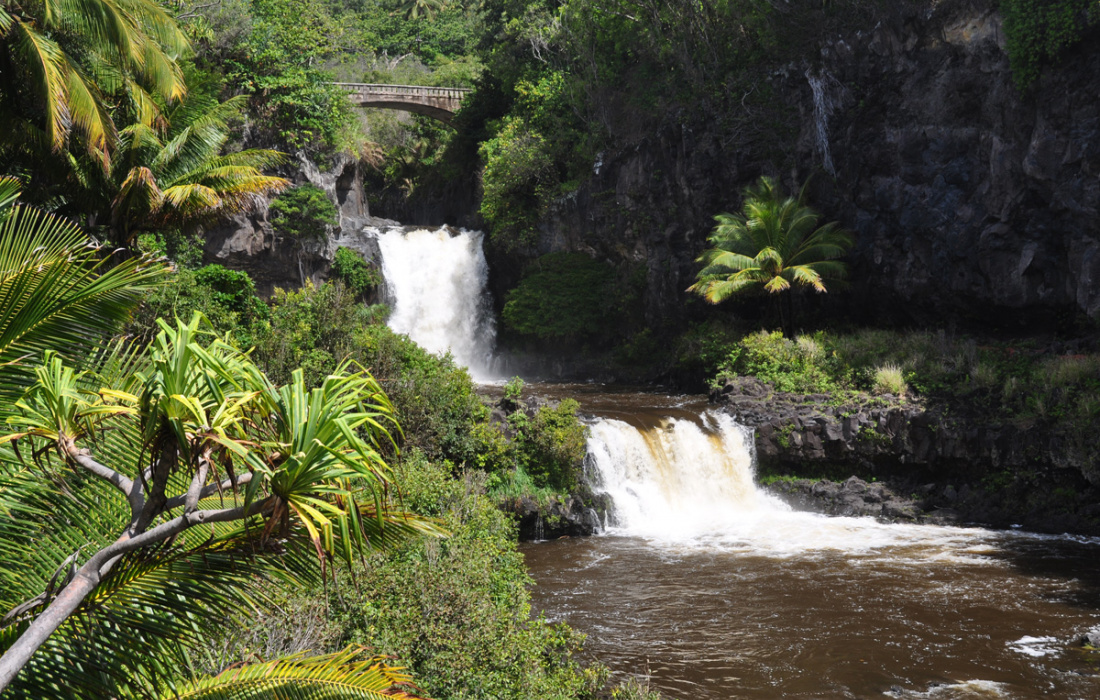 Road to Hana Stops - The Best Places to Visit Image
