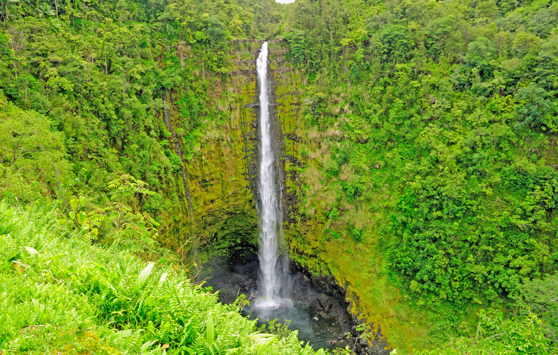 Oahu and Big Island A Comparison