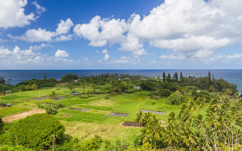 Road to Hana Stops - The Best Places to Visit Image