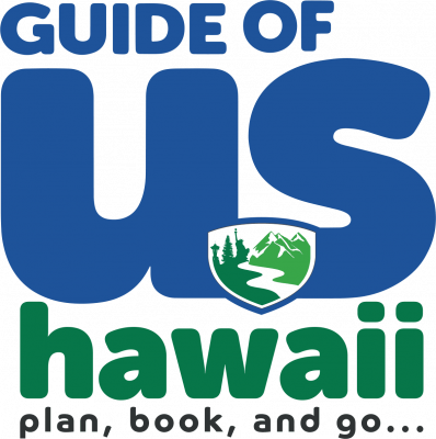 Hawaii Business Services Image