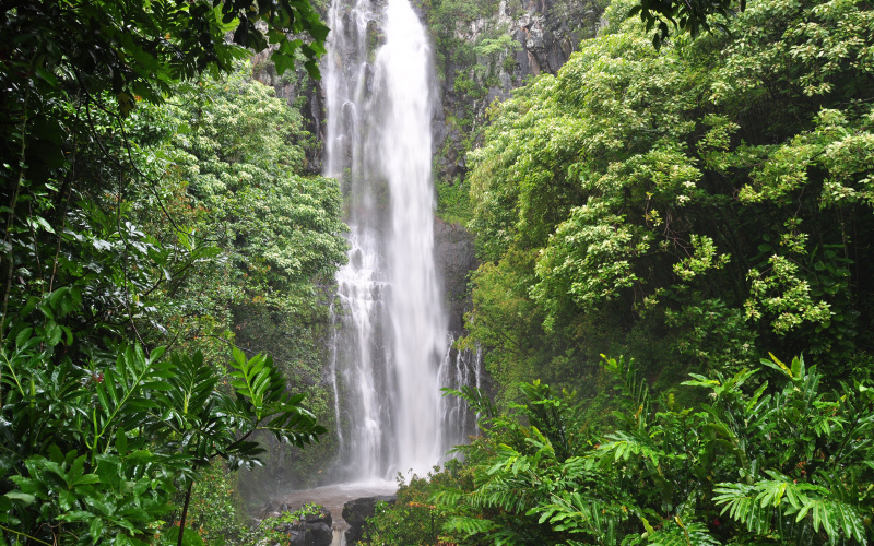 Road to Hana Stops - The Best Places to Visit Image