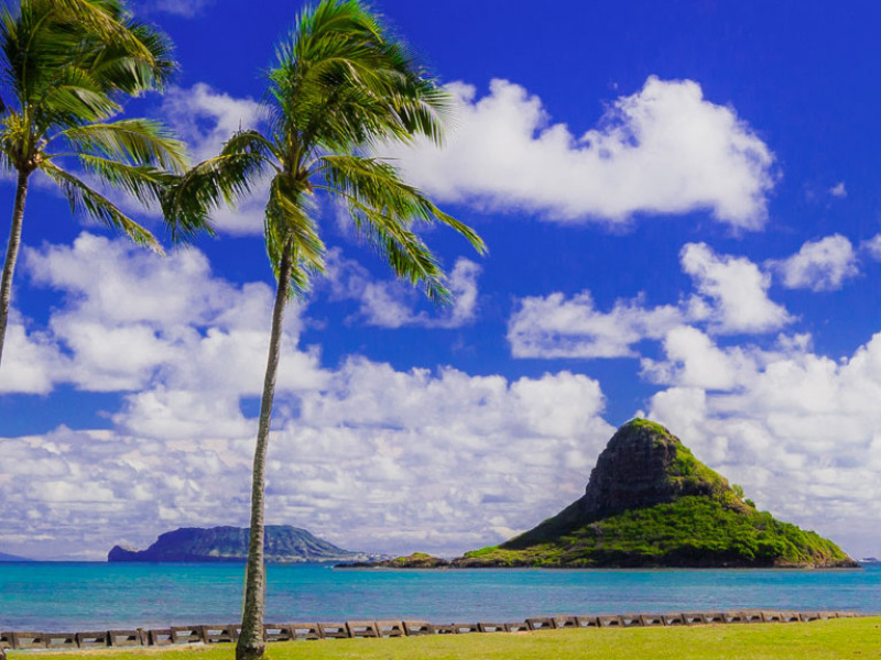 Top Things To Do In East Oahu Windward Oahu Guide Good morning and happy almost friday, friends! east oahu windward oahu