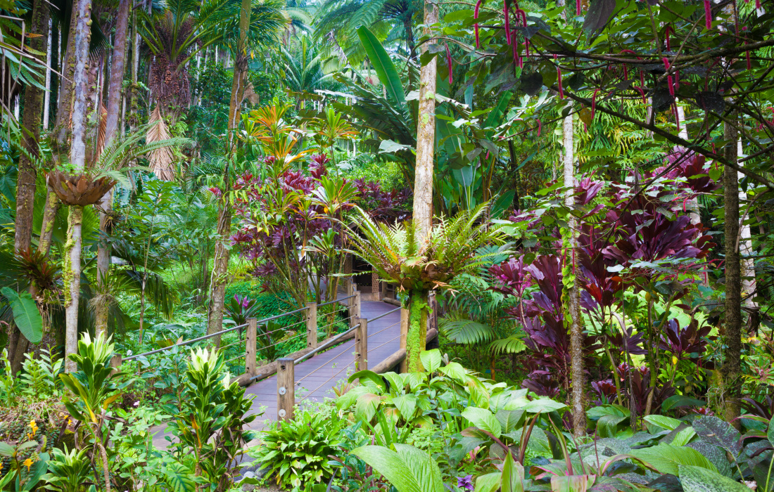 Hawaii Tropical Botanical Garden