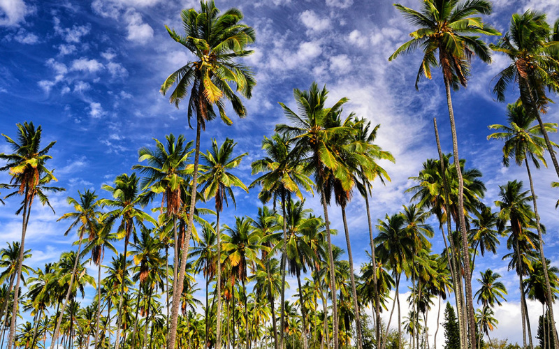 East Coast - Where to Stay Kauai