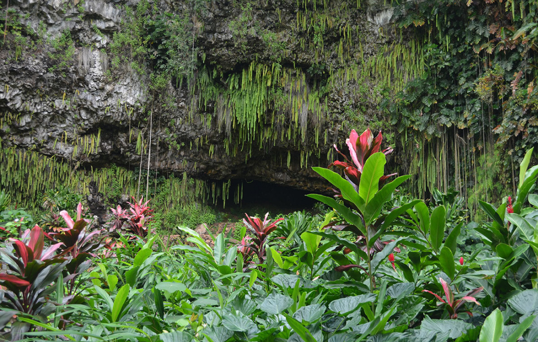 Fern Grotto on Kauai