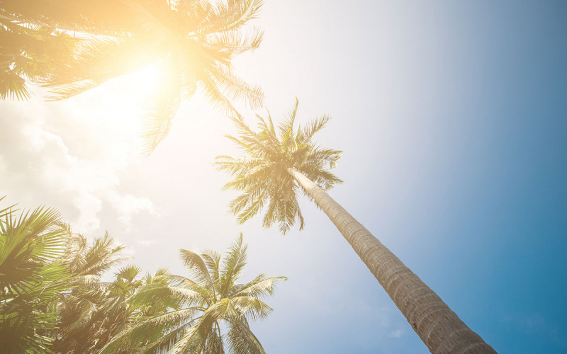 Hawaii Sunlight High UV