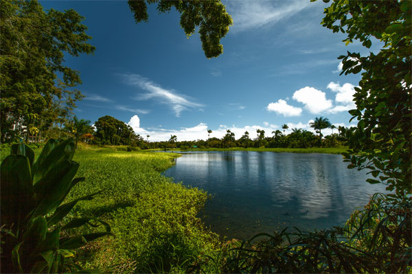 Where to Stay on the Big Island of Hawaii Image
