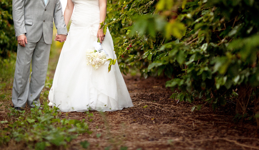 Top Places to Get Married in Hawaii Image