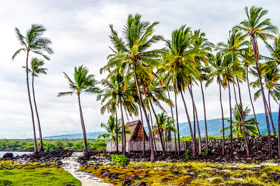 Big Island In A Day Kailua-Kona Image