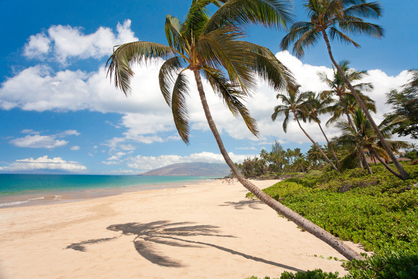 Top 5 Things to Do in Kihei Image