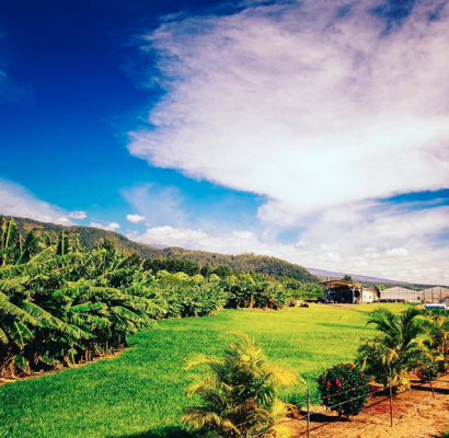Top Things to Do in Pahala Image