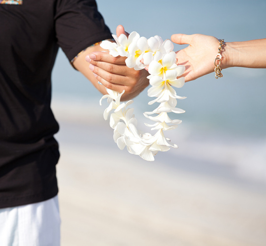 Hawaiian Wedding Traditions Image
