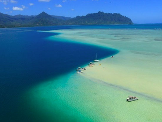 Kaneohe Bay Sandbar Charter Image