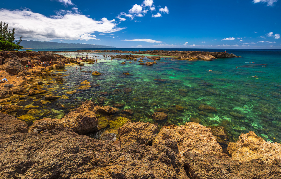Sharks Cove