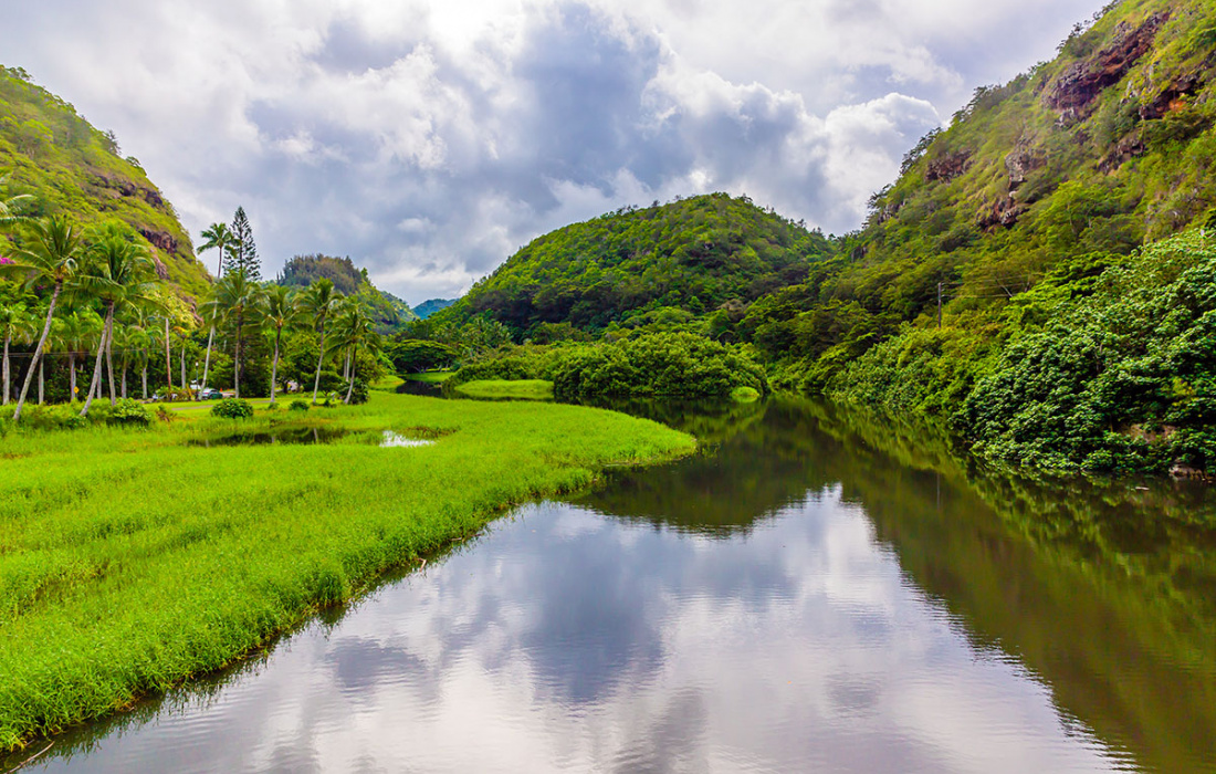 Waimea Valley