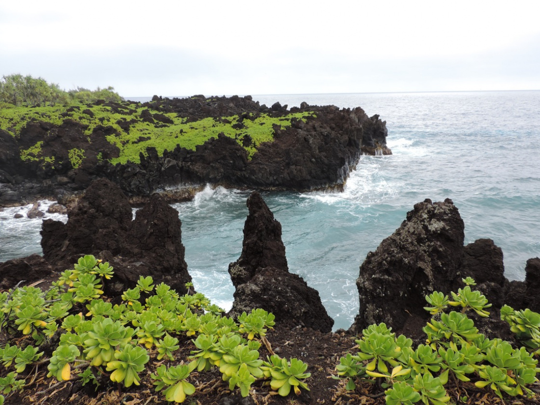 Top Campgrounds in Hawaii Image