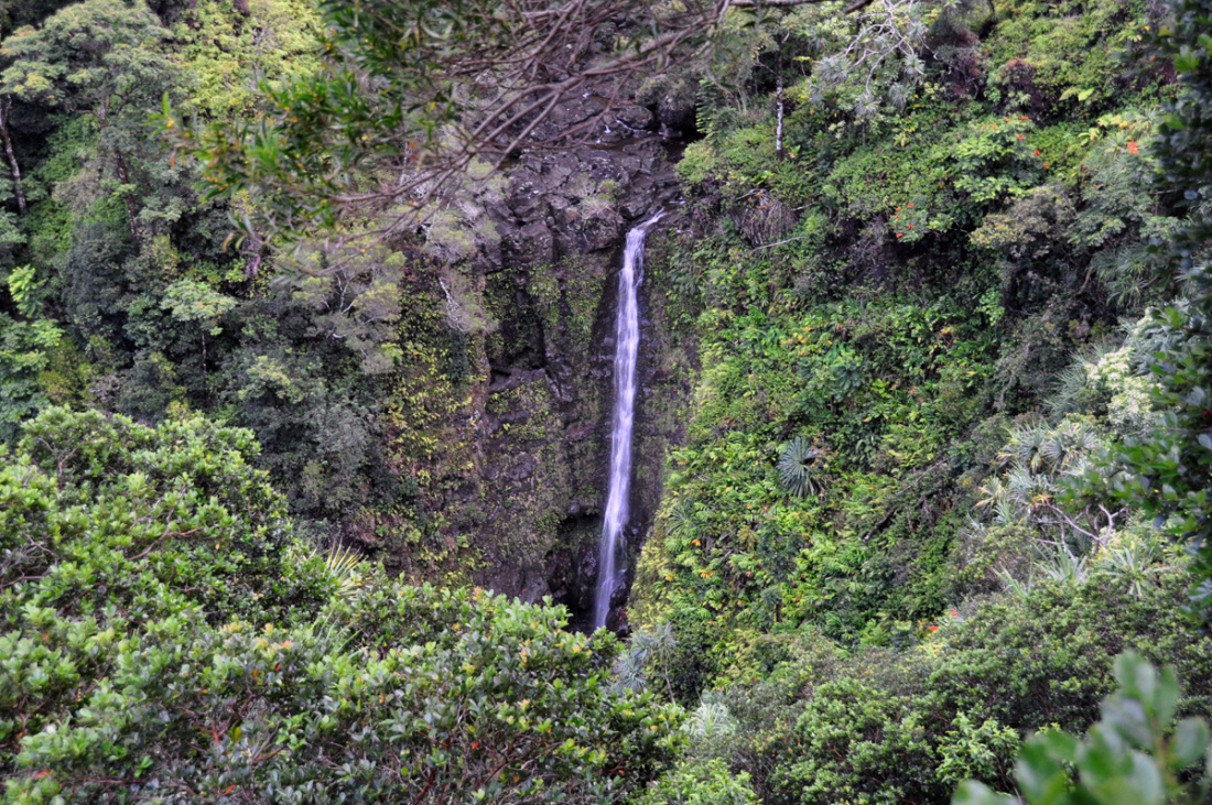 Road to Hana Waterfalls Image