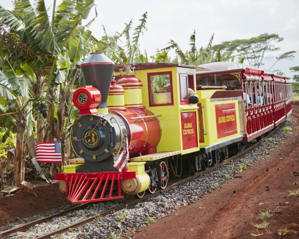 Dole Plantation Image