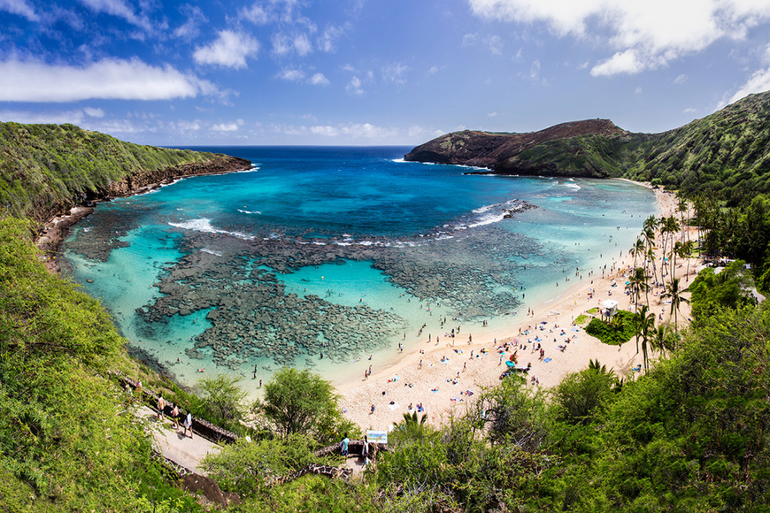 Best Snorkeling Locations in Oahu Image
