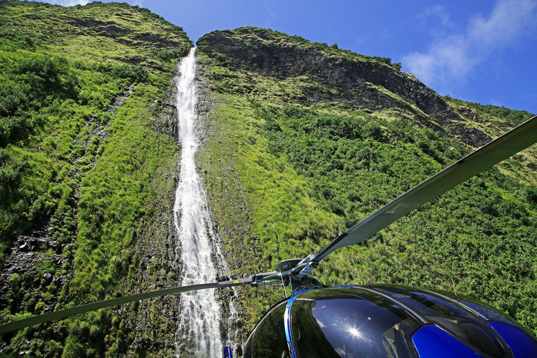 Hawaii Tours & Activities Image