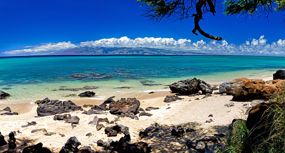Maui In A Day Image
