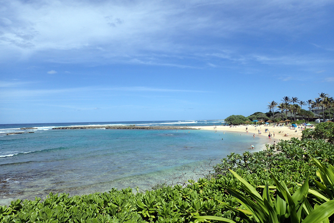 Best Snorkeling Locations in Oahu Image