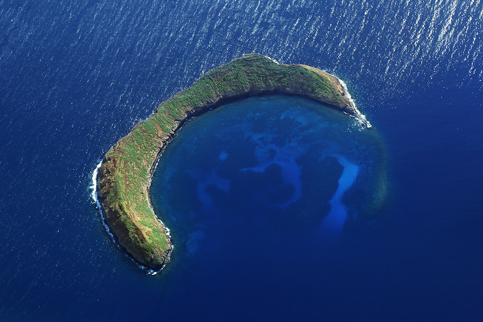 Maui In A Day Image