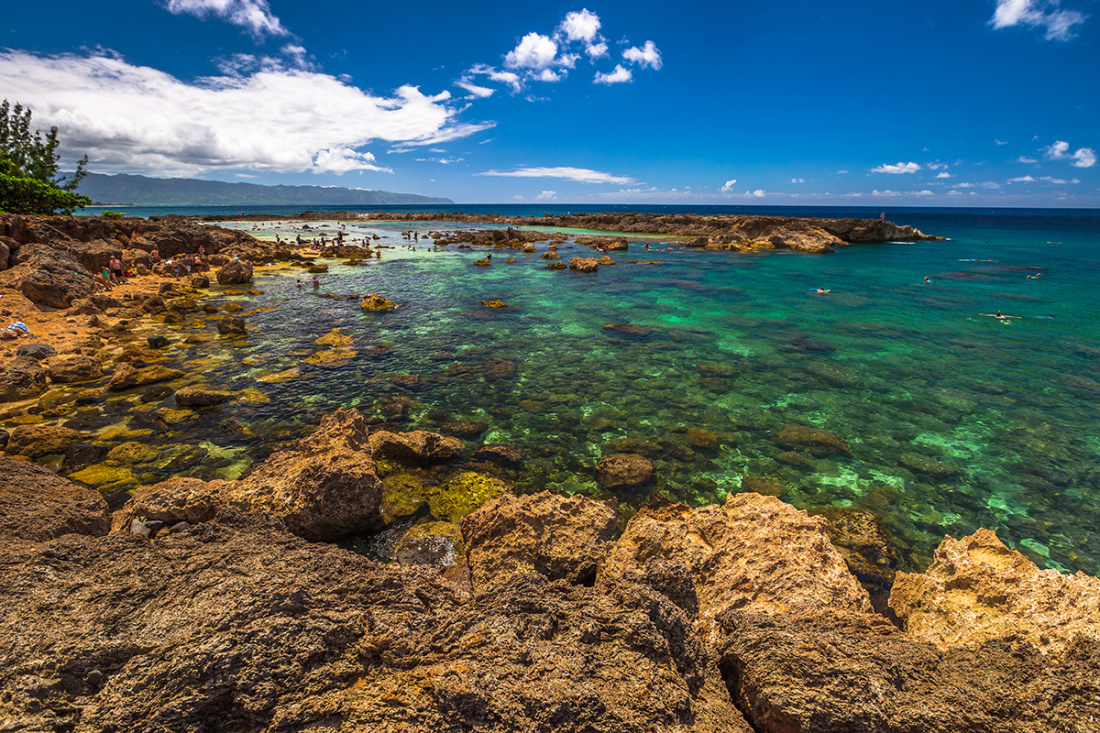 Best Snorkeling Locations in Oahu Image
