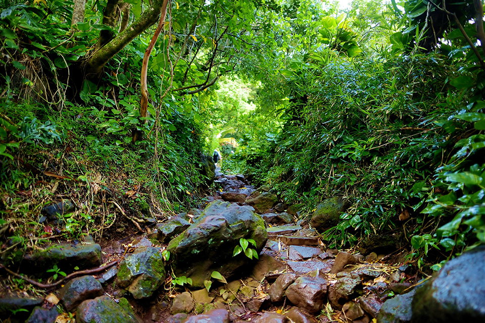 How To Prepare for the Kalalau Trail Image