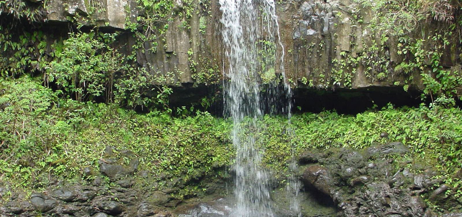 twin falls hike maui revealed twin falls hike maui revealed