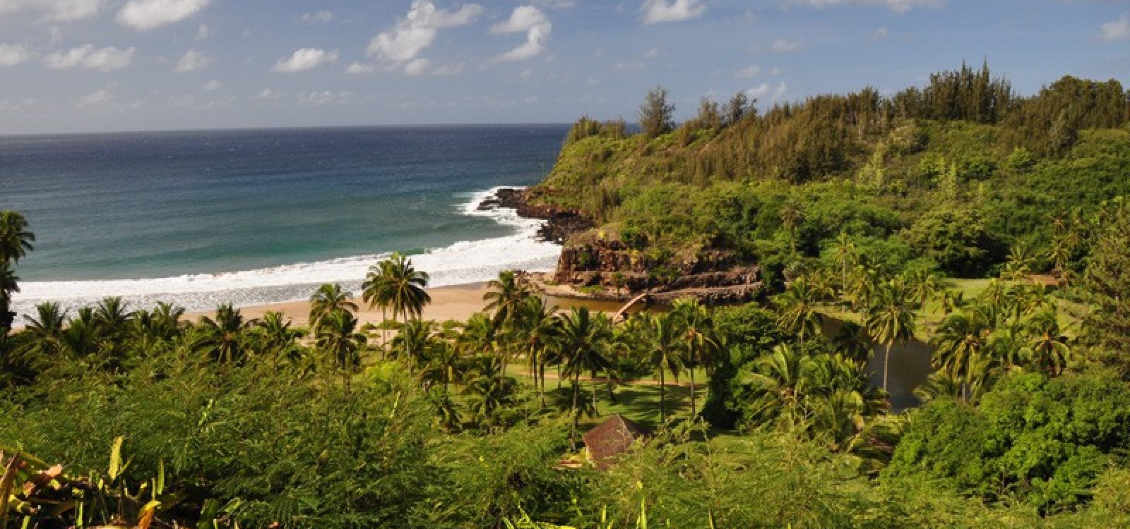 National Tropical Botanical Garden | Kauai Hawaii