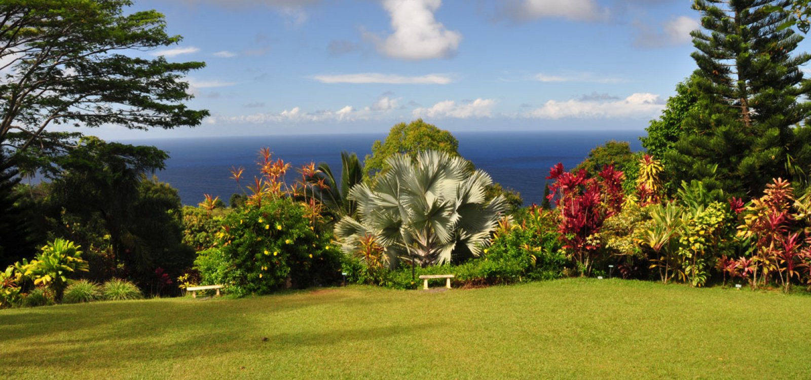garden of eden botanical