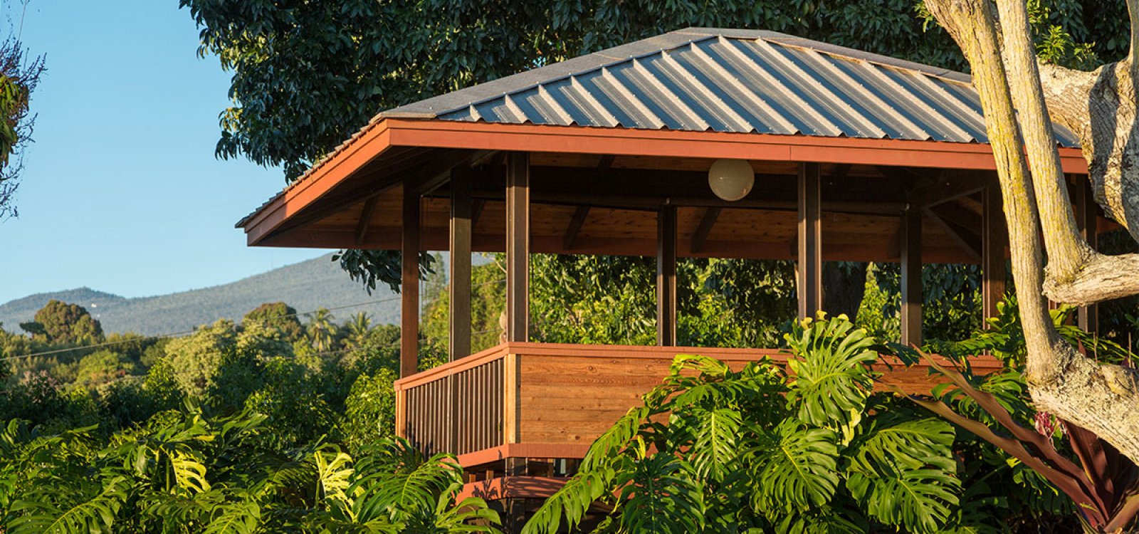 Holualoa InnBig Island Bed and Breakfast Big Island Hawaii