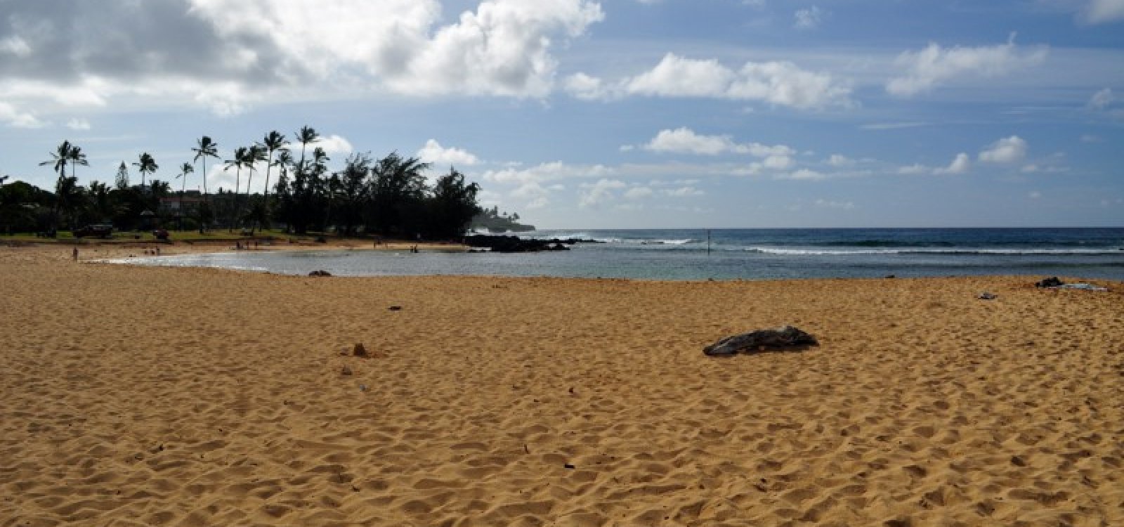 Poipu Beach Kauai Hawaii