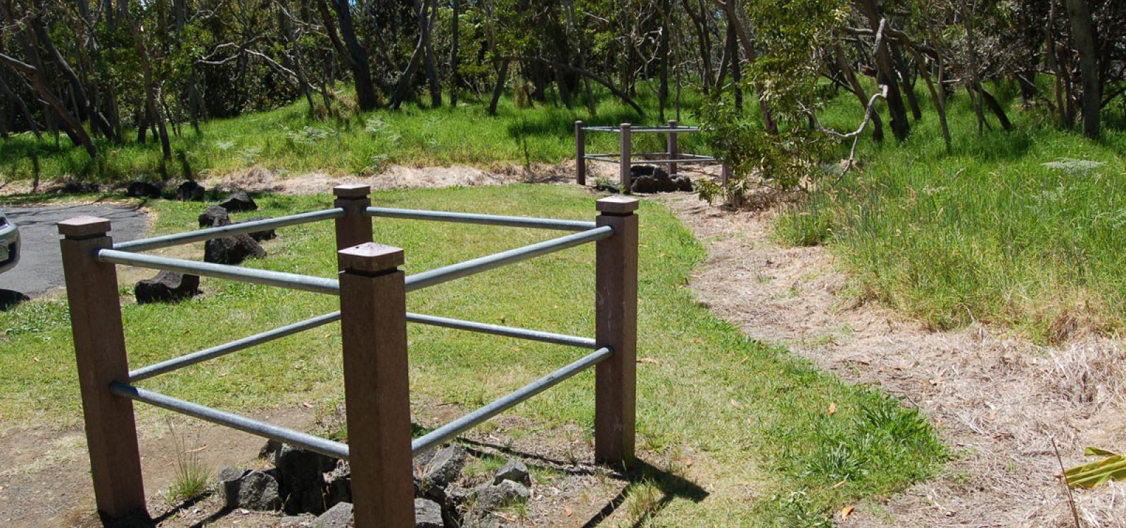 Tree Molds Big Island Hawaii