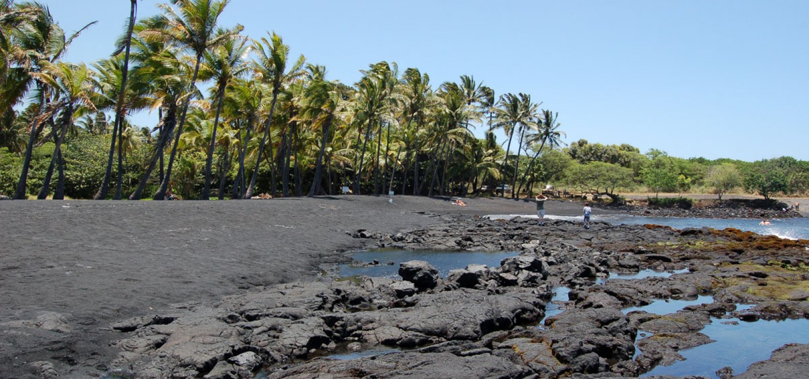 Punaluu Black Sand Beach Island Hawaii Punaluu Black Sand Beach Photo Gallery