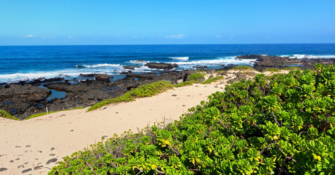 Enjoy your day at Kaena Point State Park.