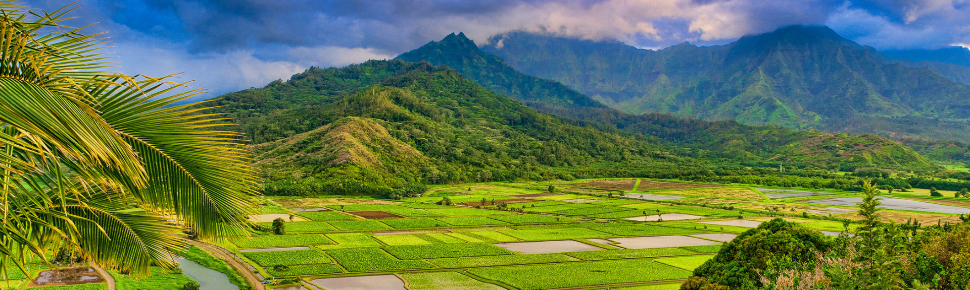 Best Attractions on Kauai Hawaii Attraction Guide