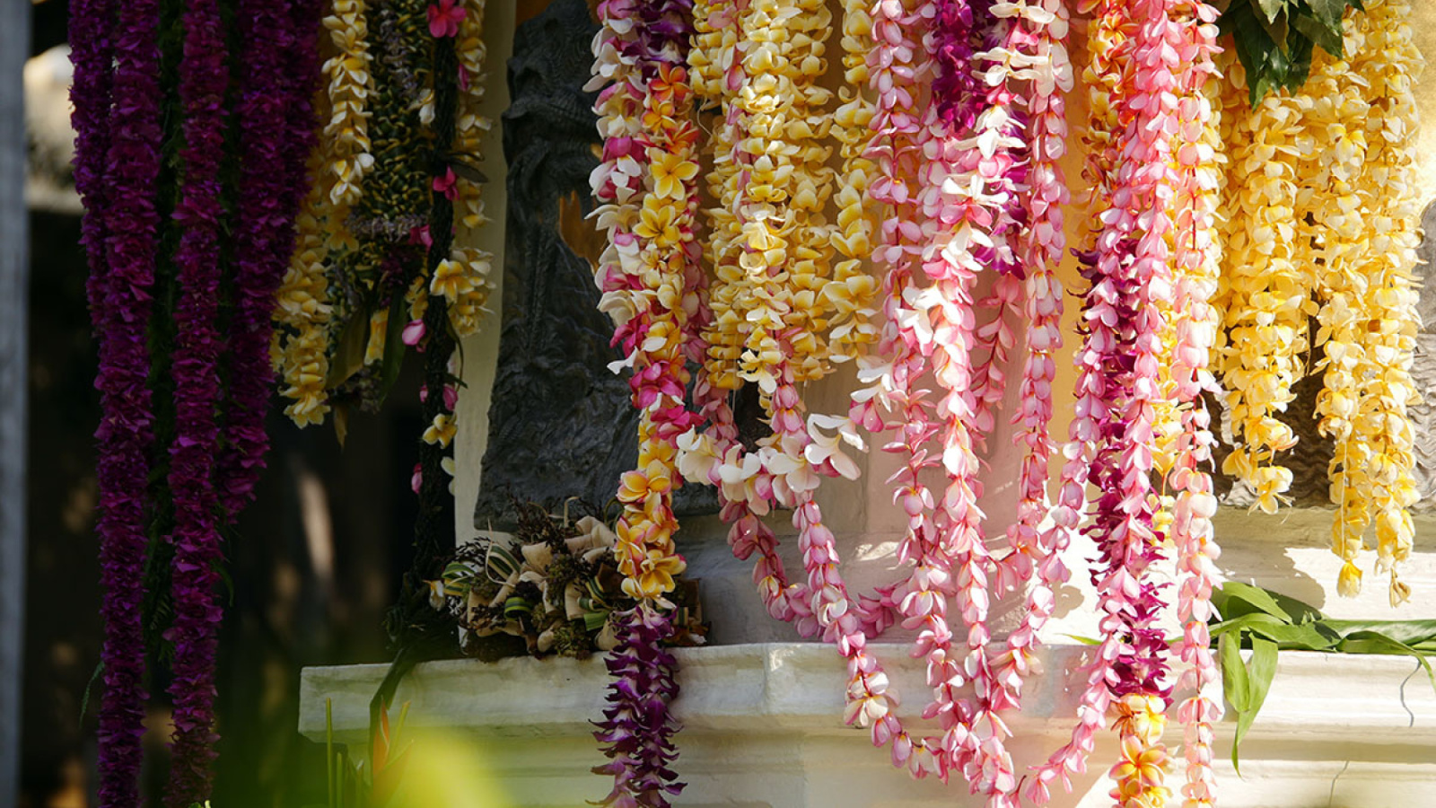 Oahu June Events 2024 20242024 Winter Predictions