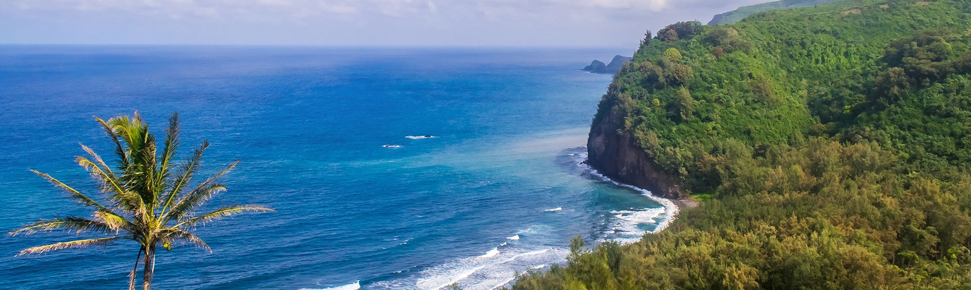 Top Things to Do in Big Island's Kohala Region